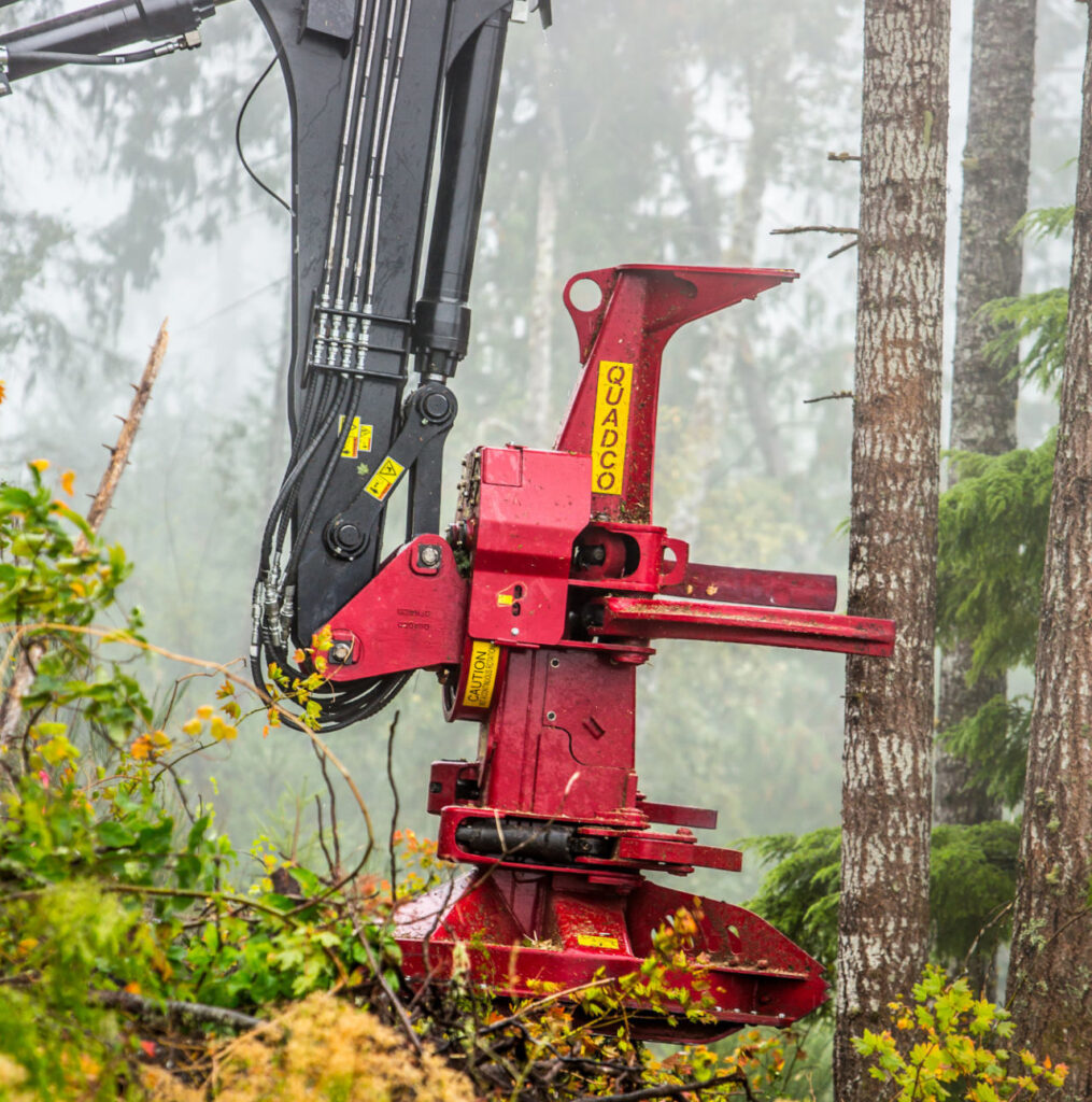 Quadco harvester head attached to a log loader about to grab a tree in a foggy forest