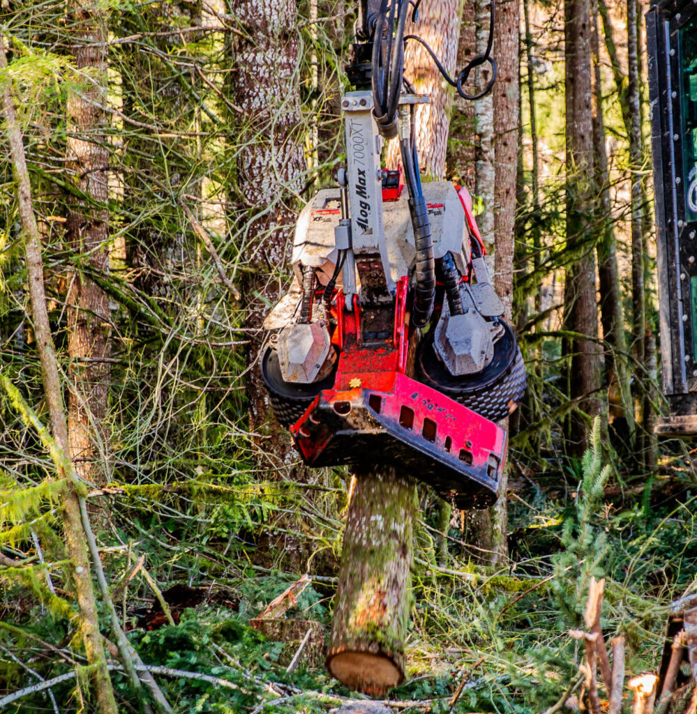 Log Max 7000XT processor head holding a tree in a forest