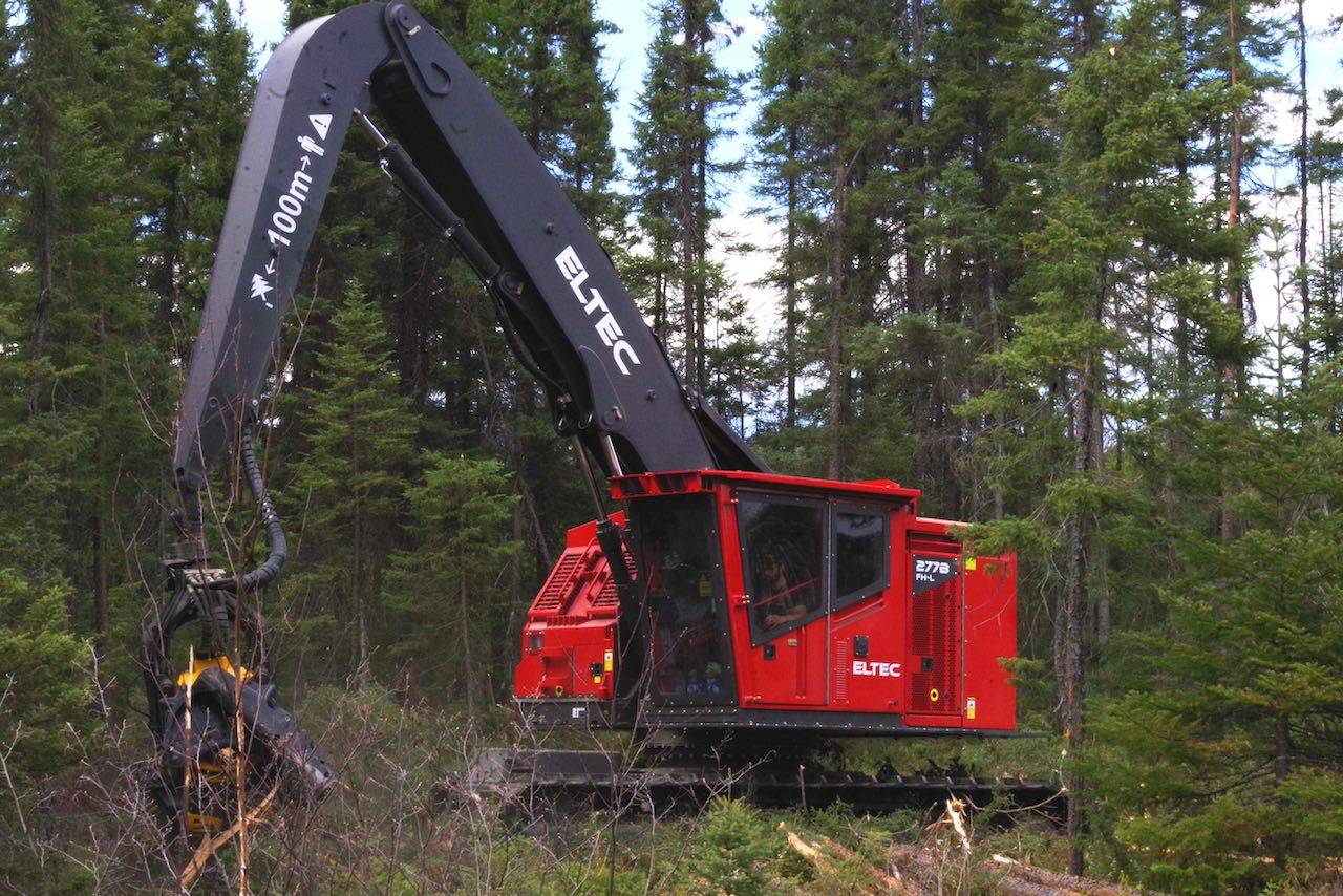 Eltec FH277 feller harvester working in a forest